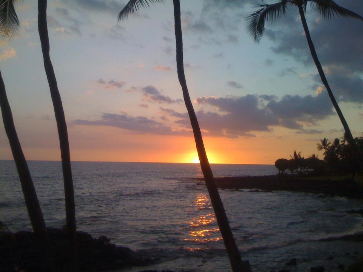 Kona Bali Kai 317 Direct Oceanfront Villa Kailua-Kona Ngoại thất bức ảnh